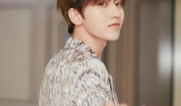 爆料娱乐圈wyb,揭秘明星背后的真相