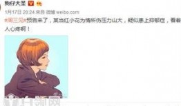 颜色小花圈内爆料,颜色背后的秘密与故事