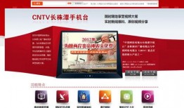 平远电视台爆料视频,揭秘事件背后真相